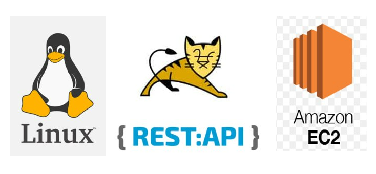 External Server Rest API call